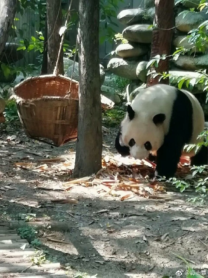 央廣即時通