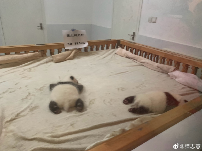 央廣即時通