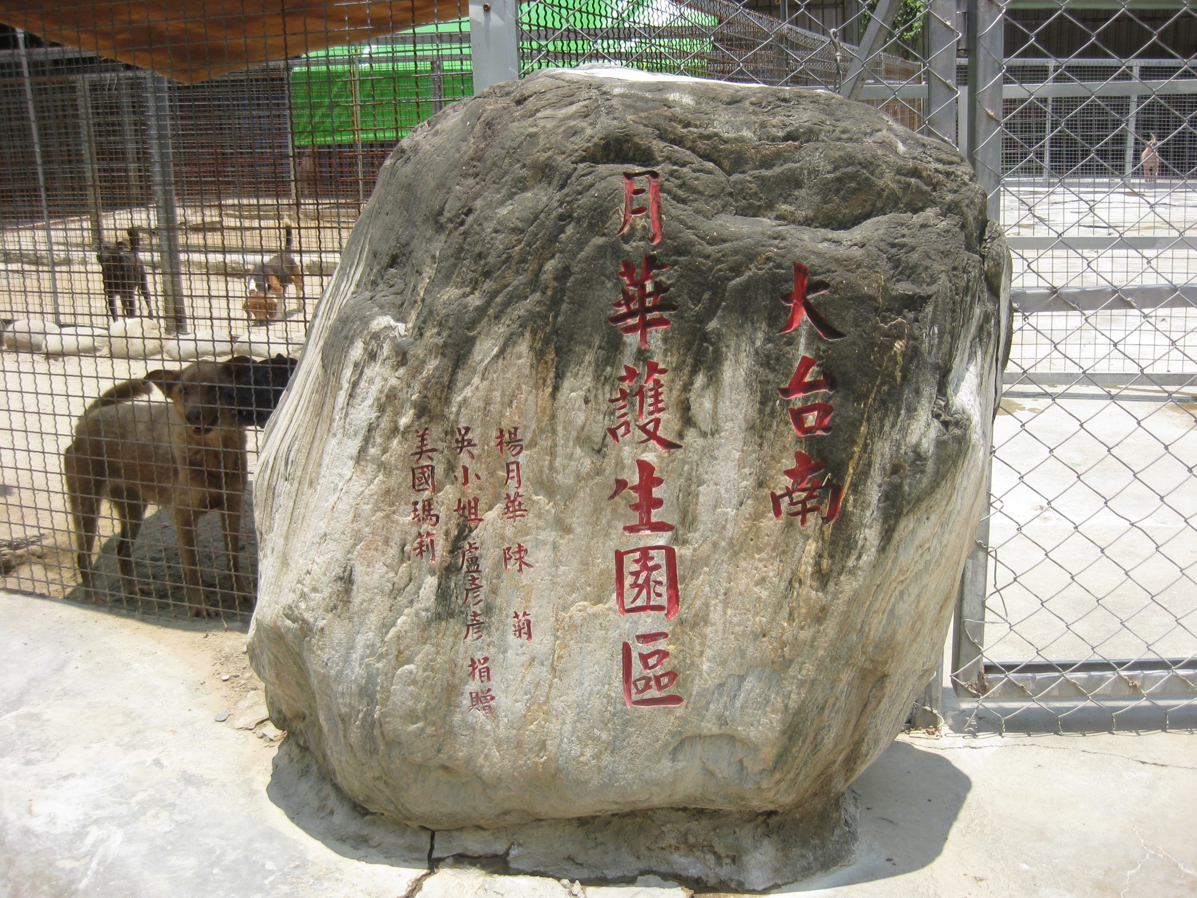 戀戀臺灣