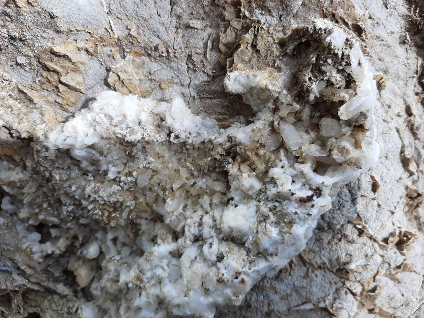 戀戀臺灣