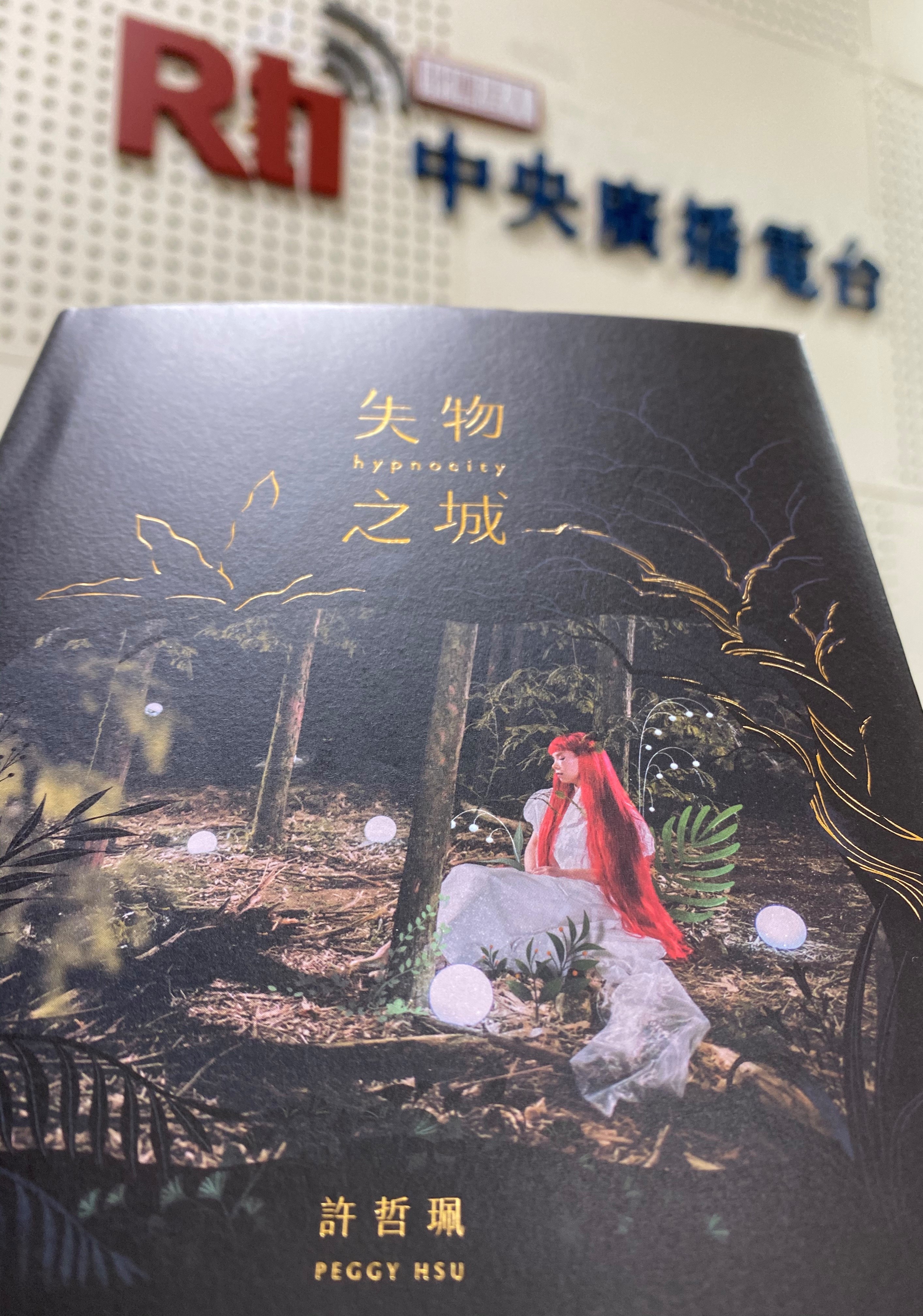 介紹許哲珮最新專輯—失物之城