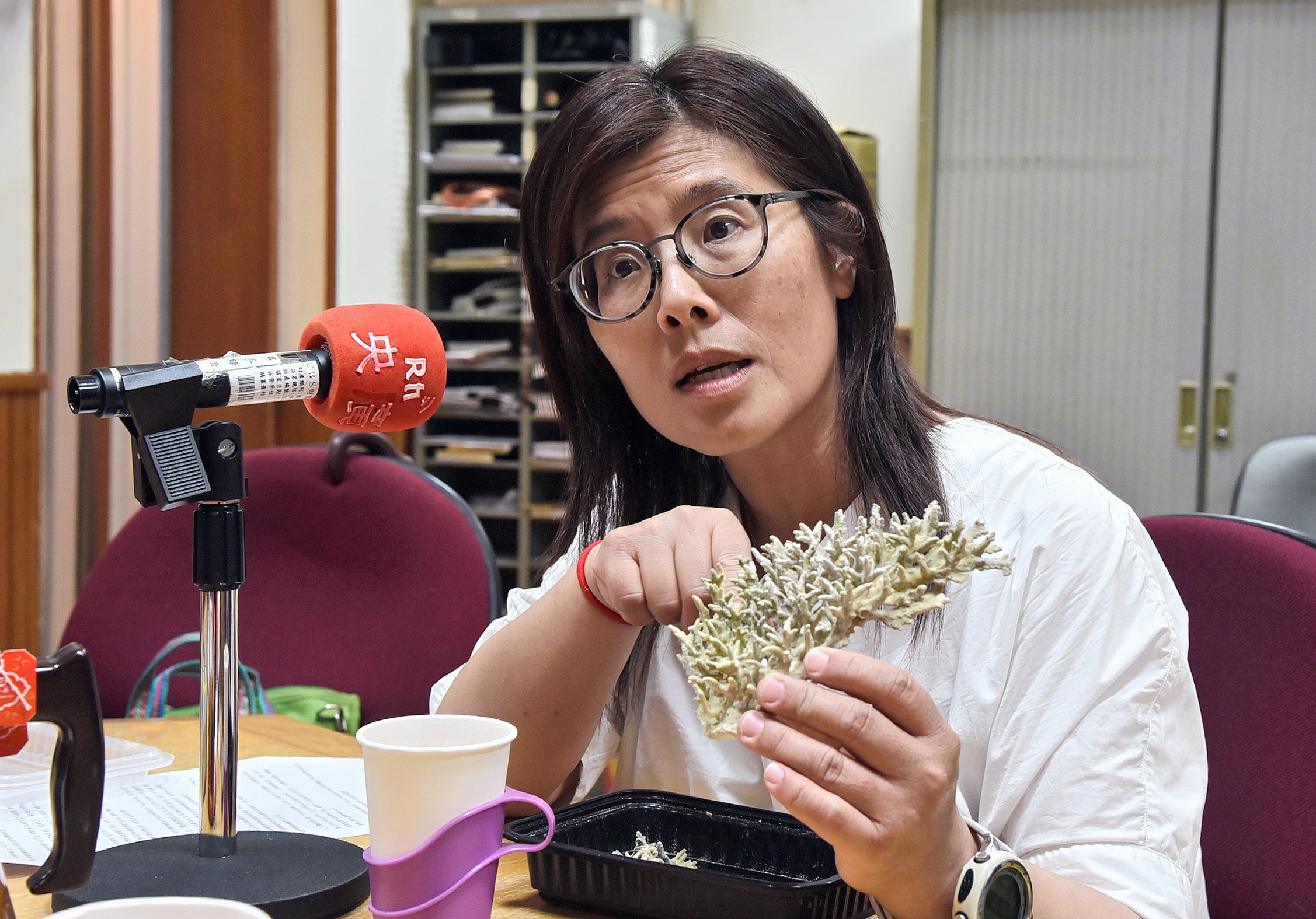 美麗的臺灣 美麗的臺灣