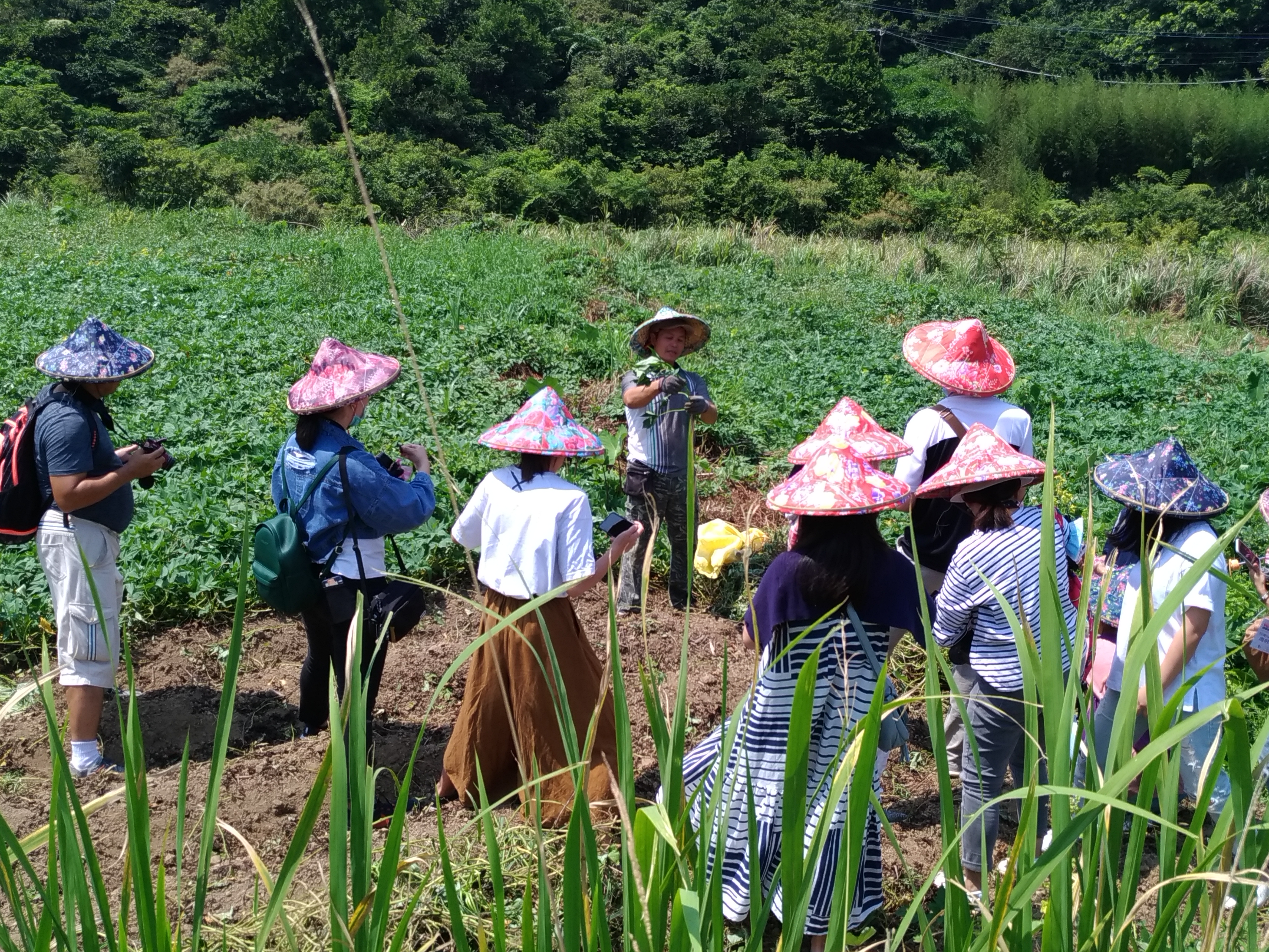 臺灣活力GO