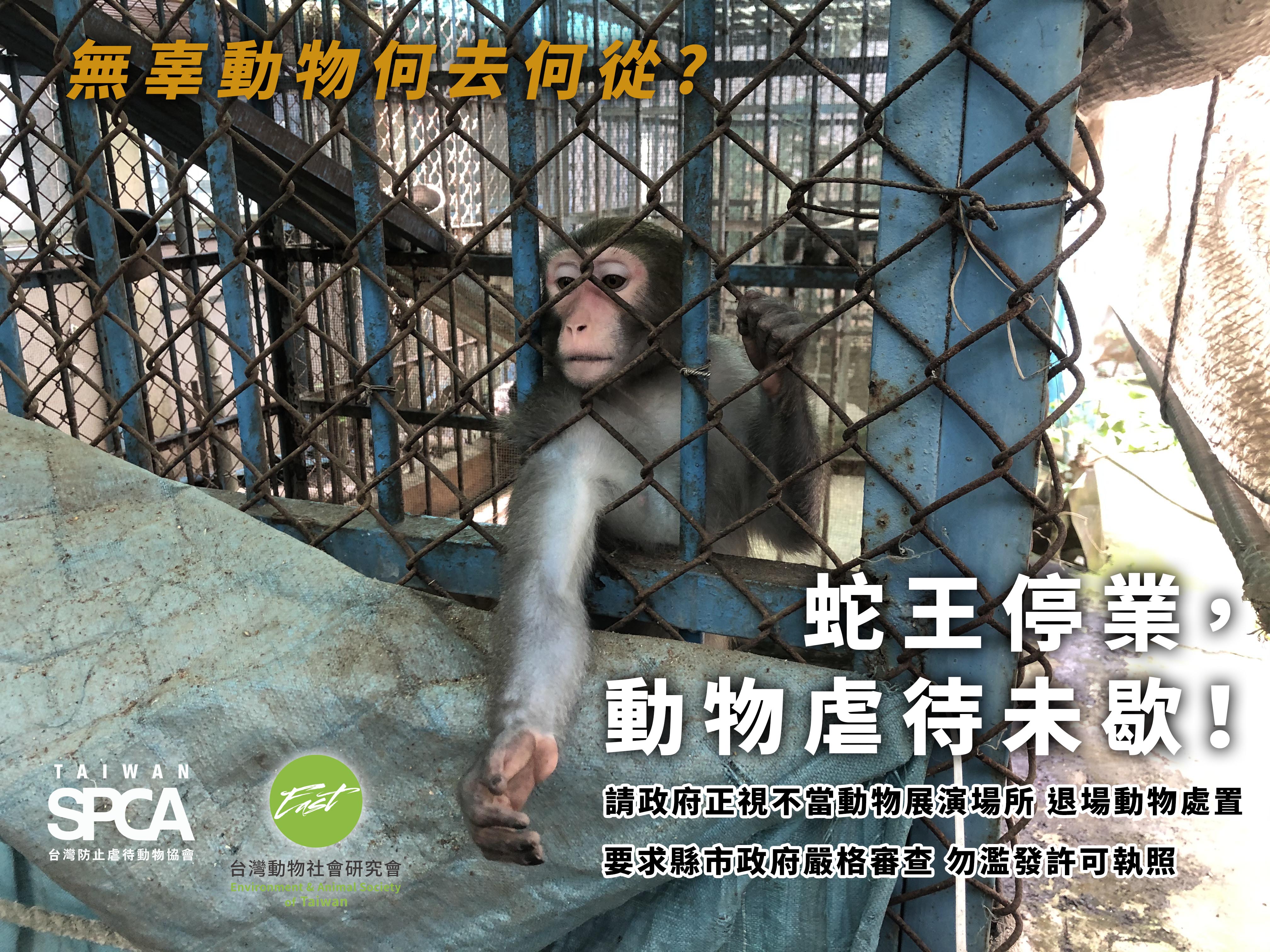 無辜動物何去何從? 動保團體呼籲正視不當動物展演場所 退場之動物處置