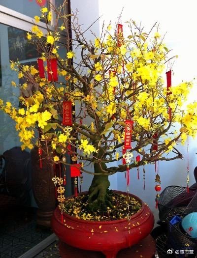 回覆聽友來信:上海 王偉民 越南 朱美霞