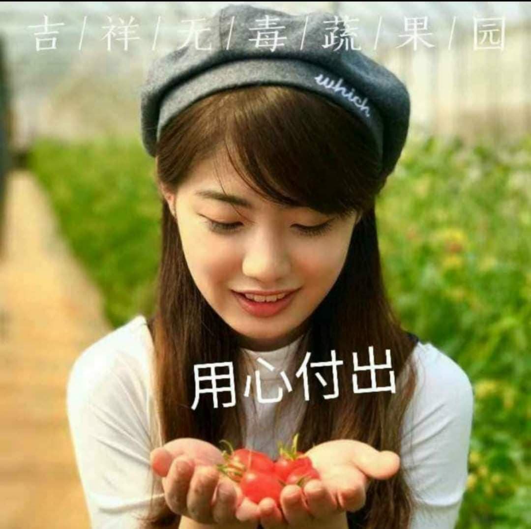 昔日房產公司高管曹凱寧 與夫努力打造無毒精緻農業