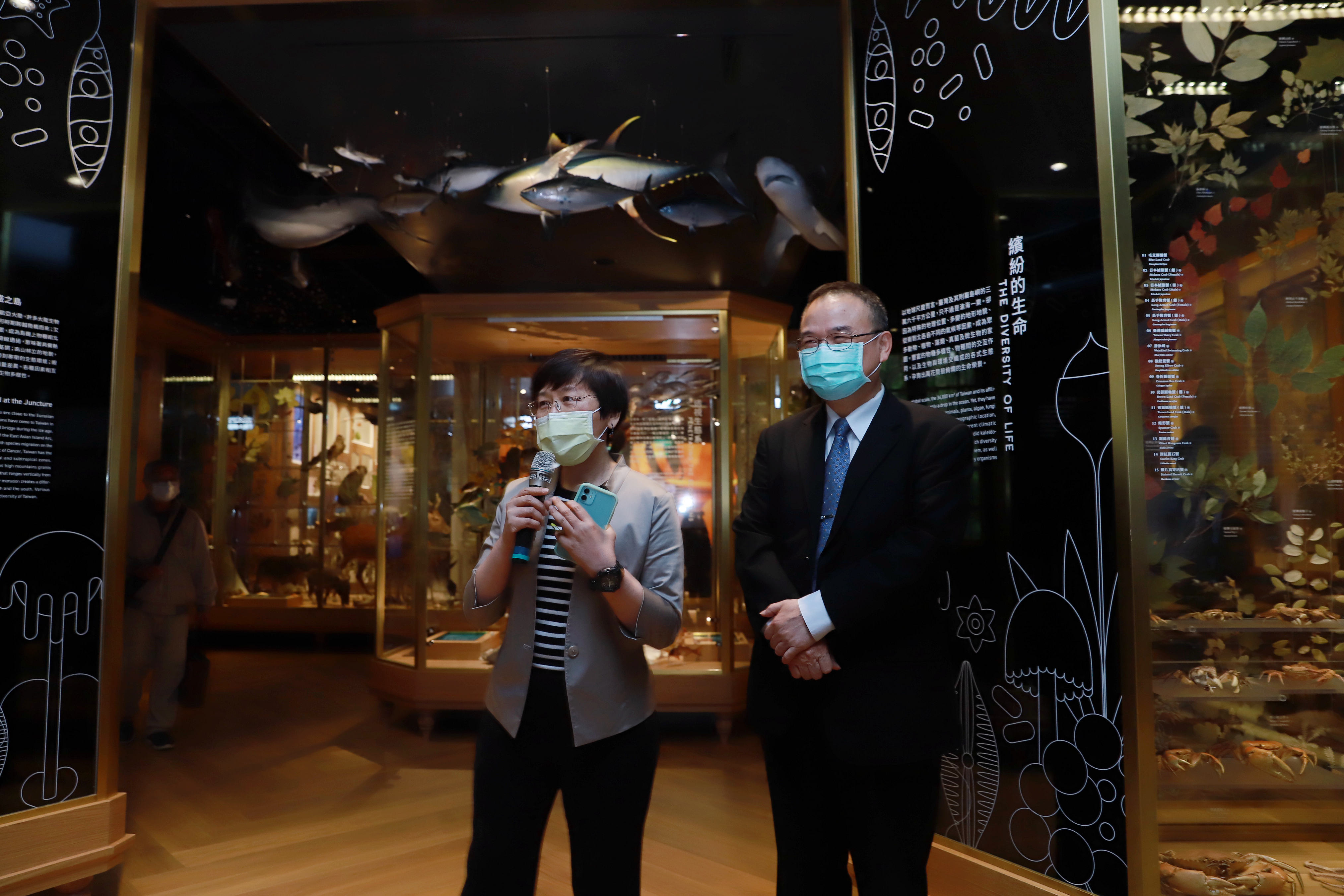 臺博館「博物臺灣」常設展「自然臺灣」