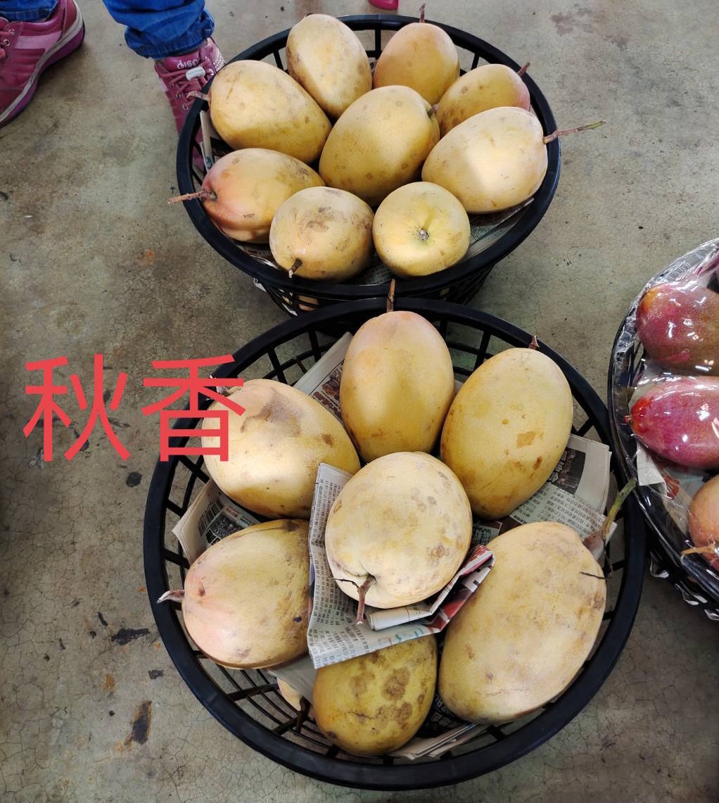 央廣即時通