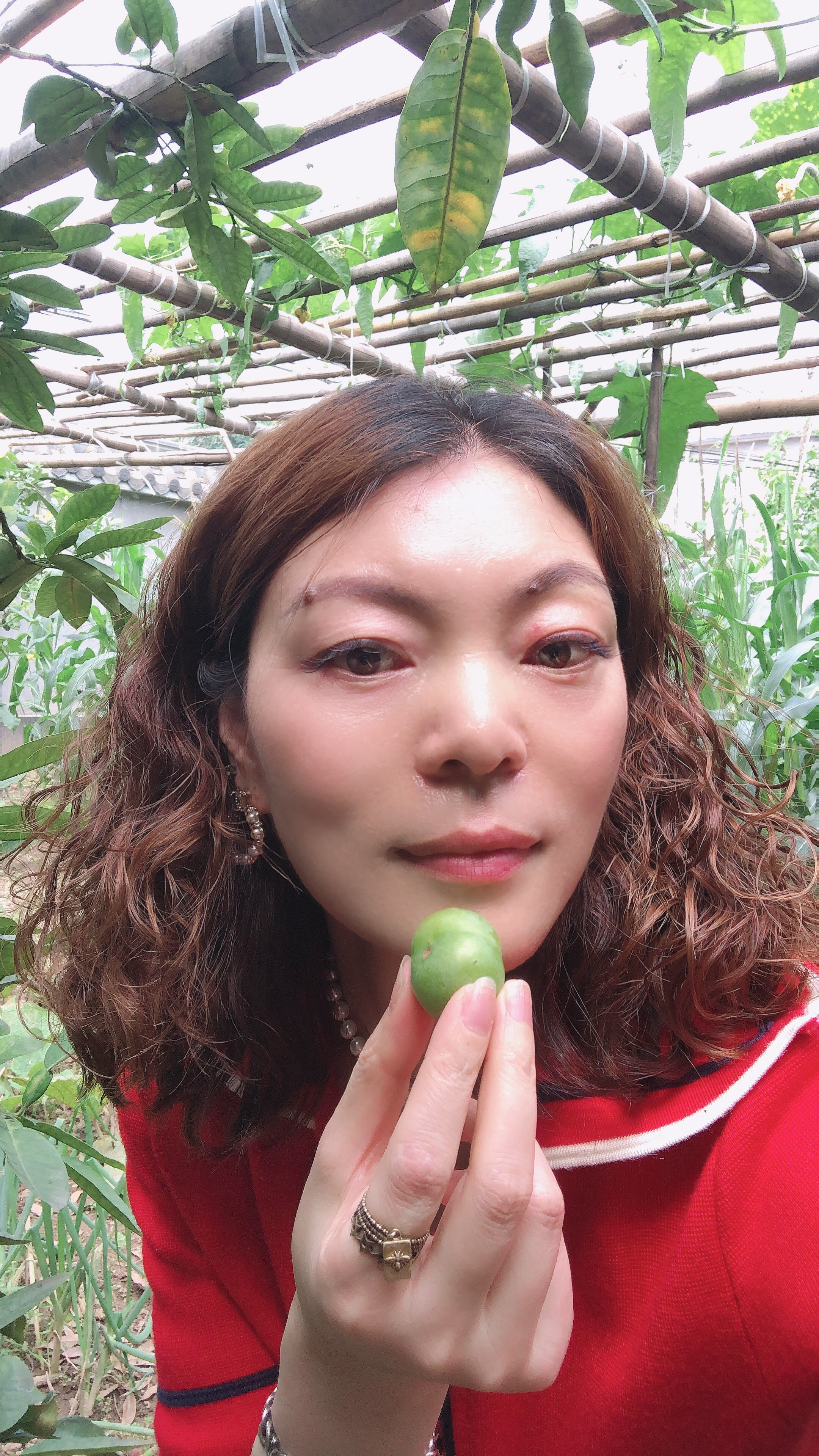 回覆聽友來信:四川陳力菁