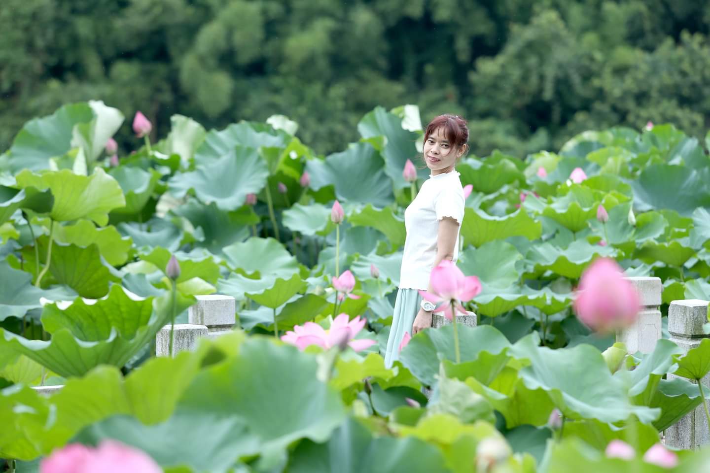 兩岸我的家