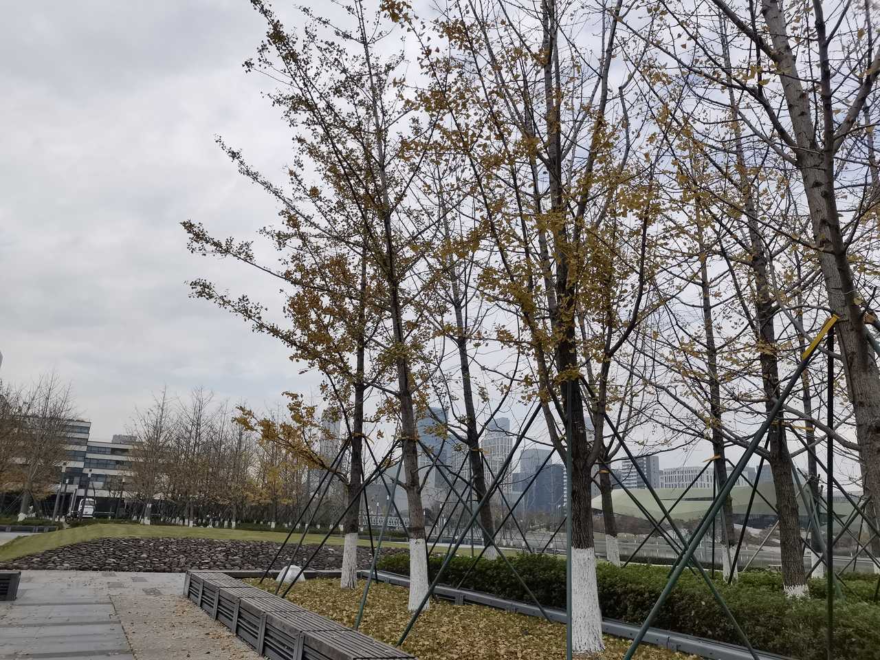 回覆聽友來信:瑞雪 美霞 妙恩