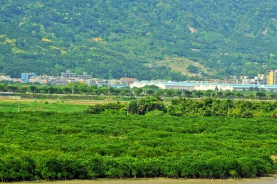 關渡自然保留區退場 國家重要濕地接棒