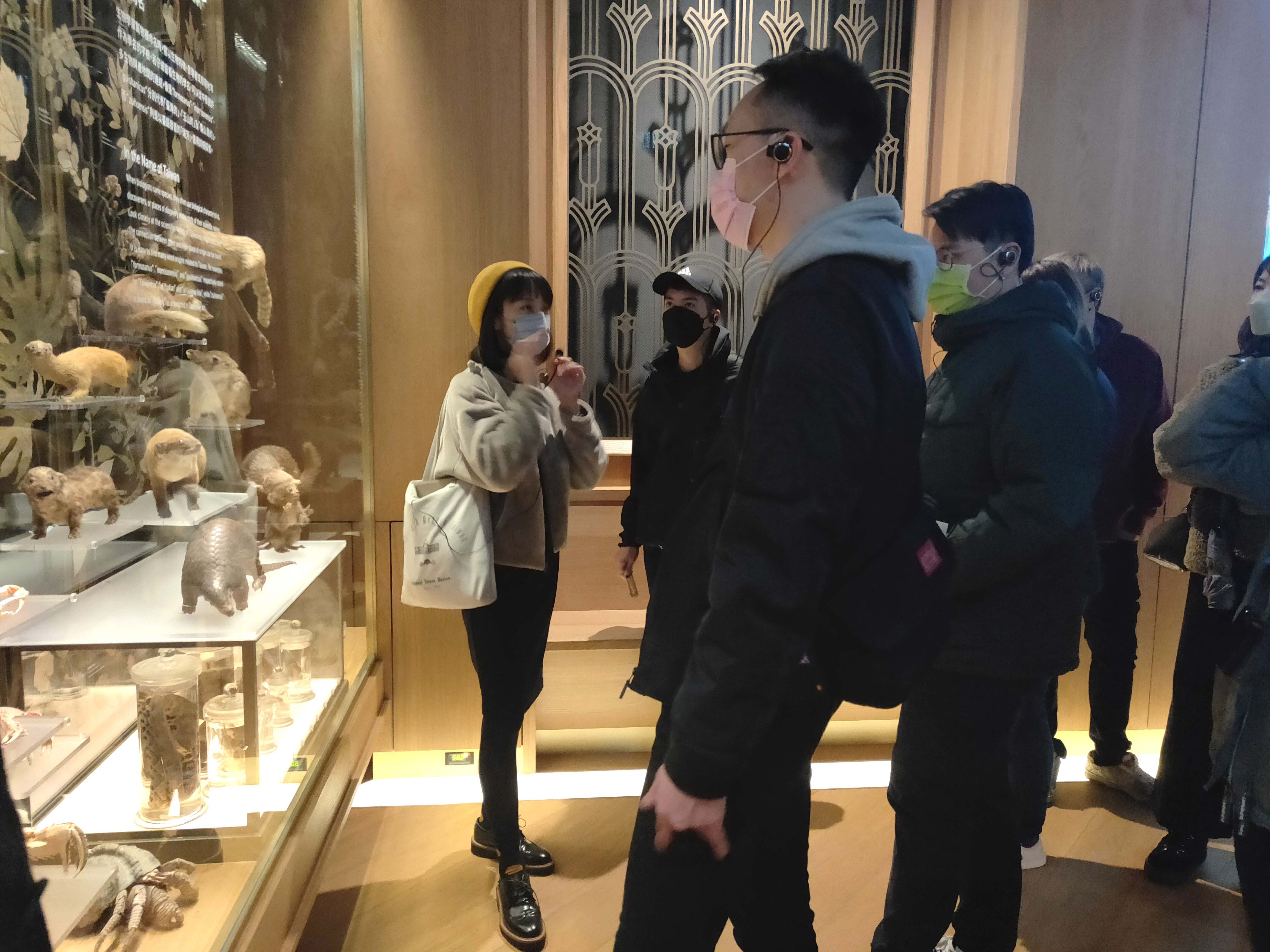 臺灣活力GO
