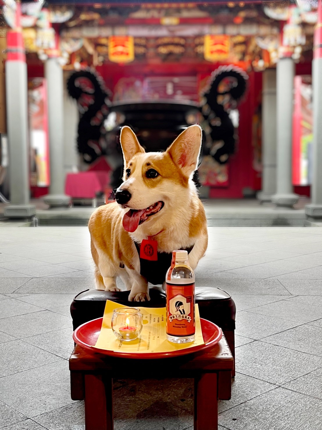 臺灣活力GO