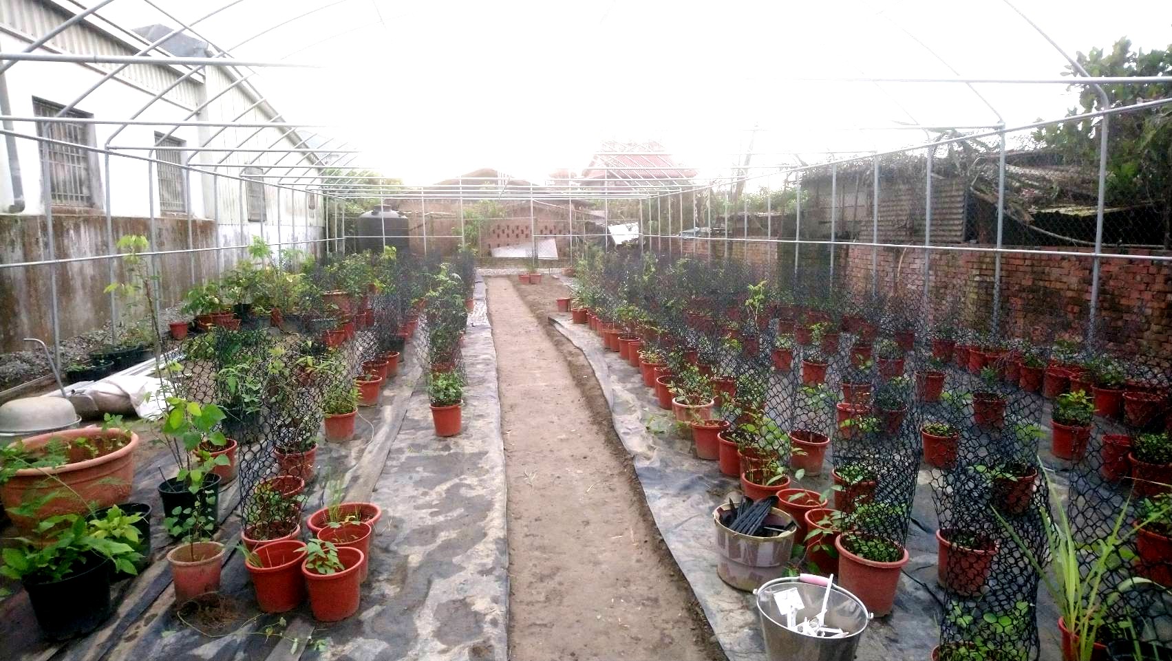 友善環境 李榮宗的生態教育工作志業