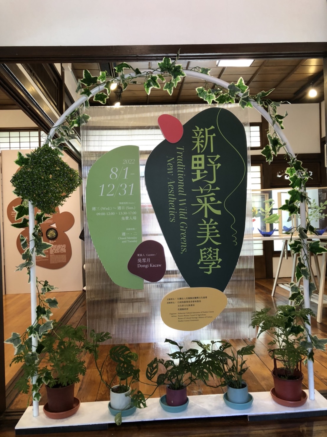 「新野菜美學」跟著野菜教母 來保育小站認識阿美族採集文化