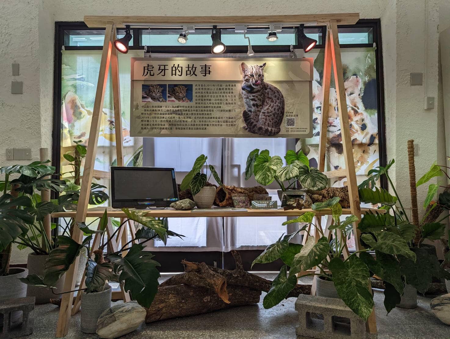 臺灣活力GO