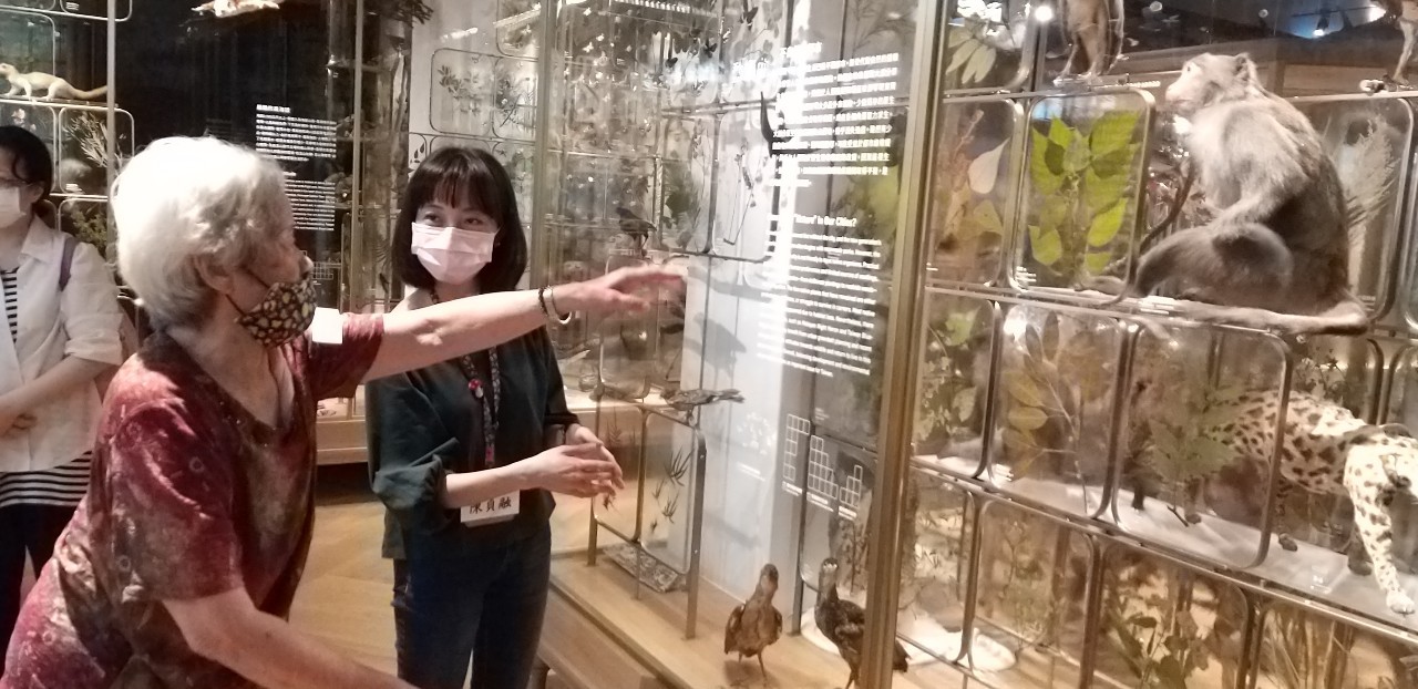 戀戀臺灣