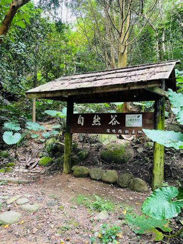戀戀臺灣