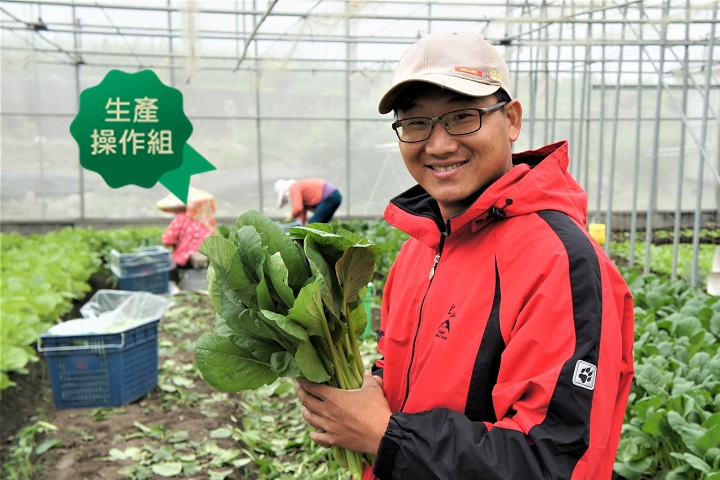 臺灣活力GO