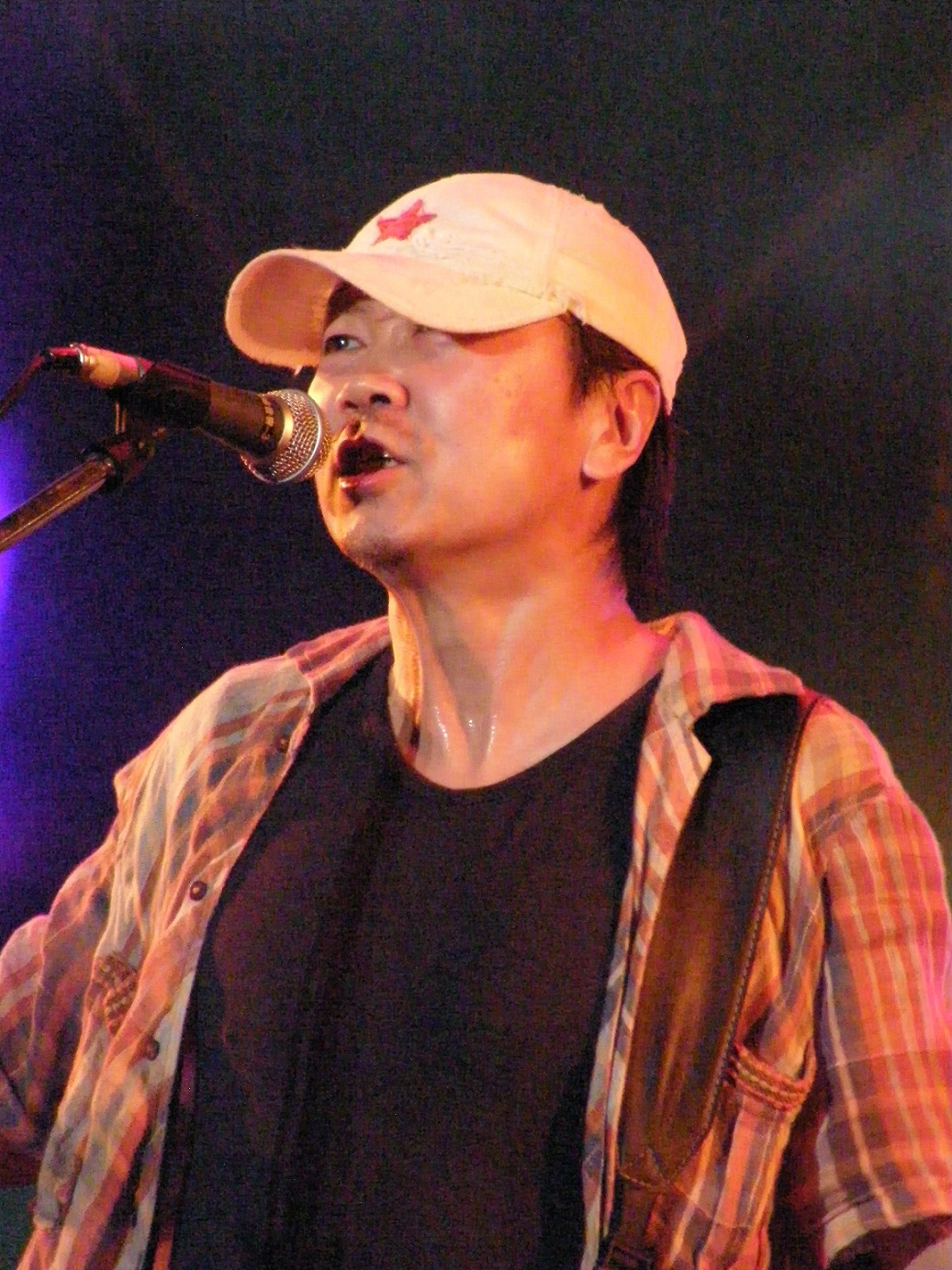 瓶中稿(華、粵)