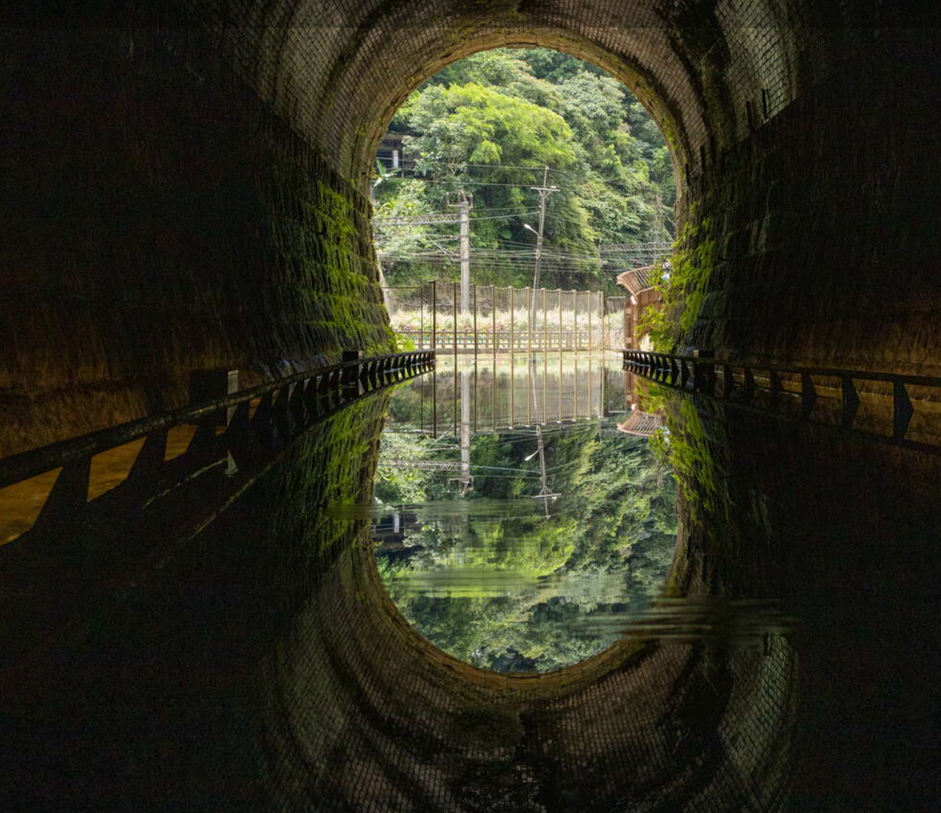 一錢鑽九孔 三貂嶺生態友善隧道