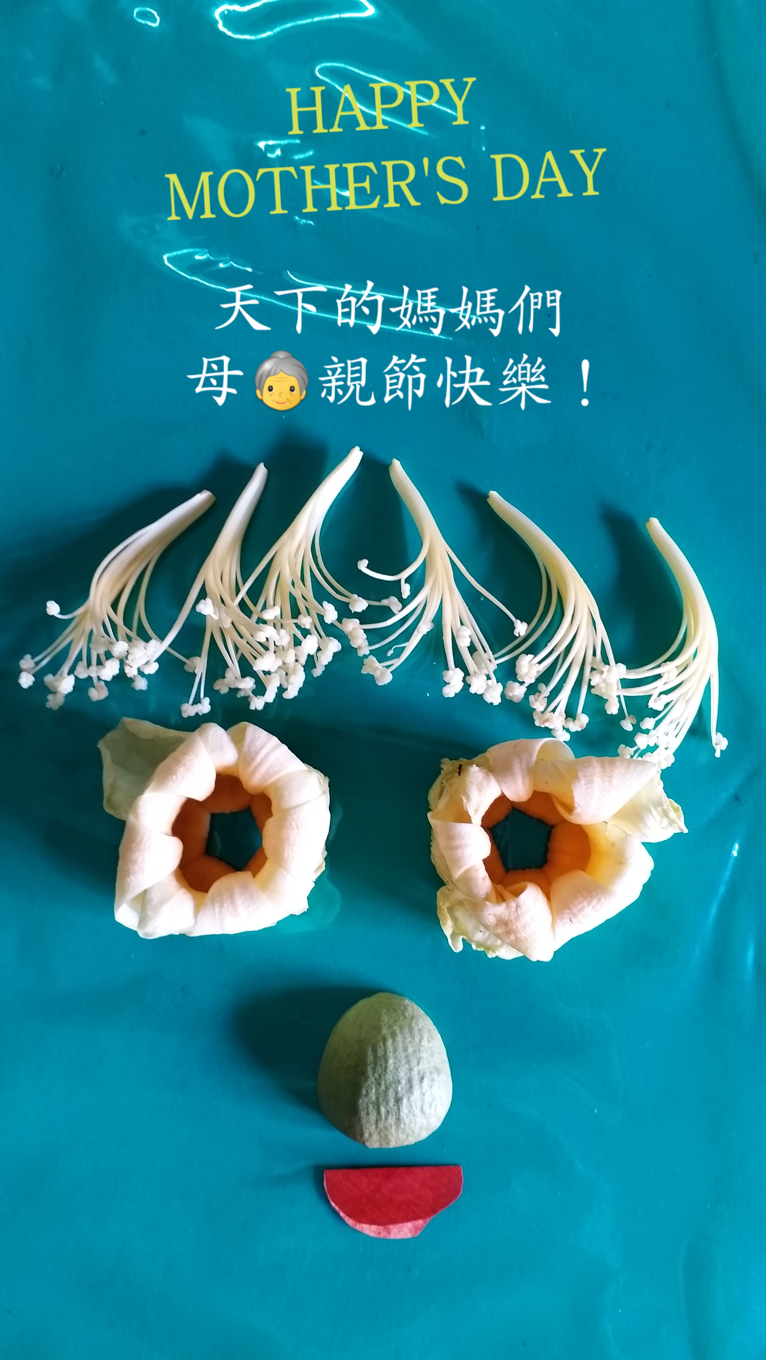 中華民國第16任總統副總統就職,國家新氣象 中華民國第16任總統副總統就職,國家新氣象