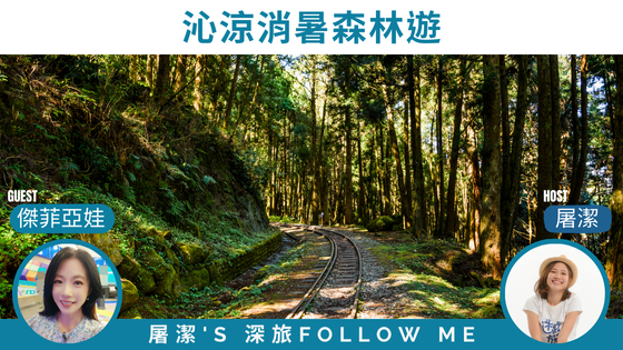 森林遊樂區|消暑一夏,森林沁涼!森林遊樂區攻略 森林遊樂區|消暑一夏,森林沁涼!森林遊樂區攻略