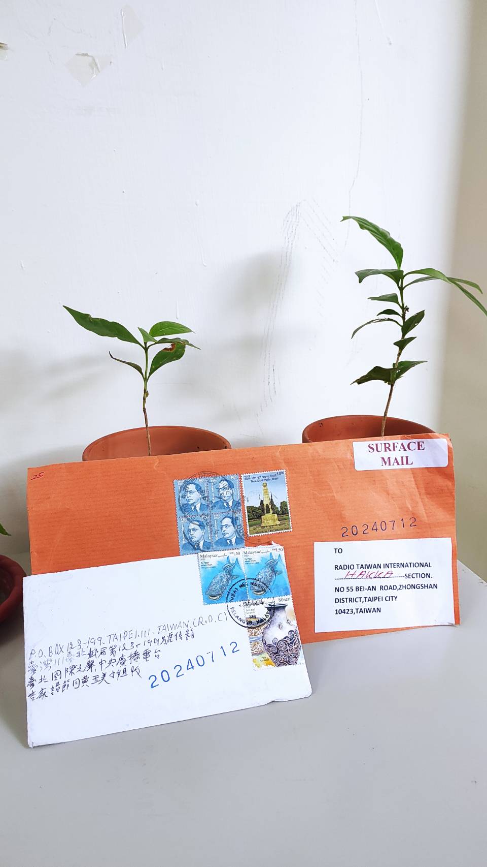 望啊望,等啊等,馬來西亞李潔梅大姊終於再次空中相會 望啊望,等啊等,馬來西亞李潔梅大姊終於再次空中相會