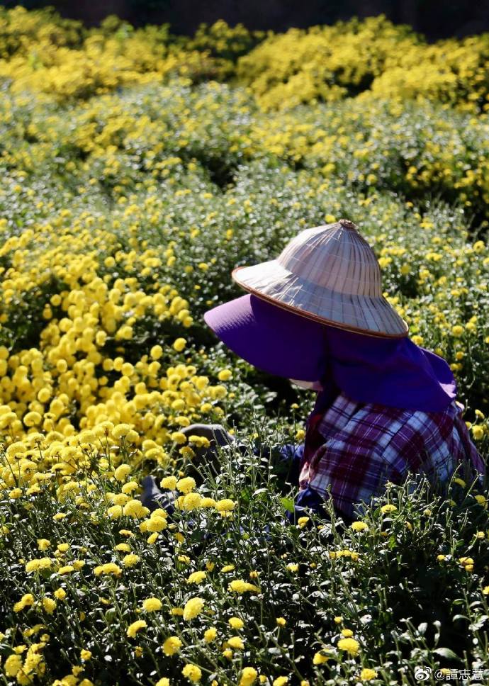「苗栗」直播活動幕後花絮