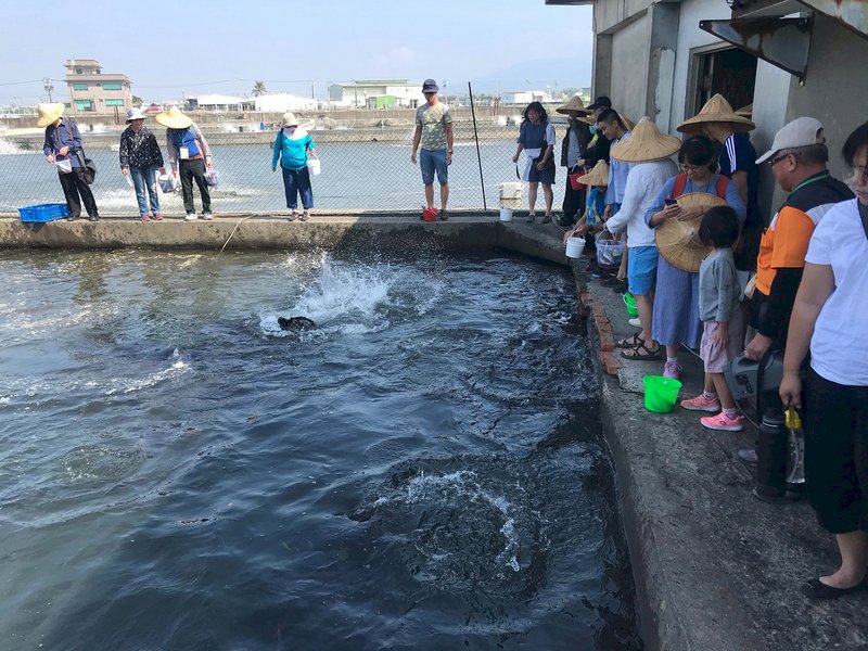 年年有魚  走春來屏東枋寮新龍社區