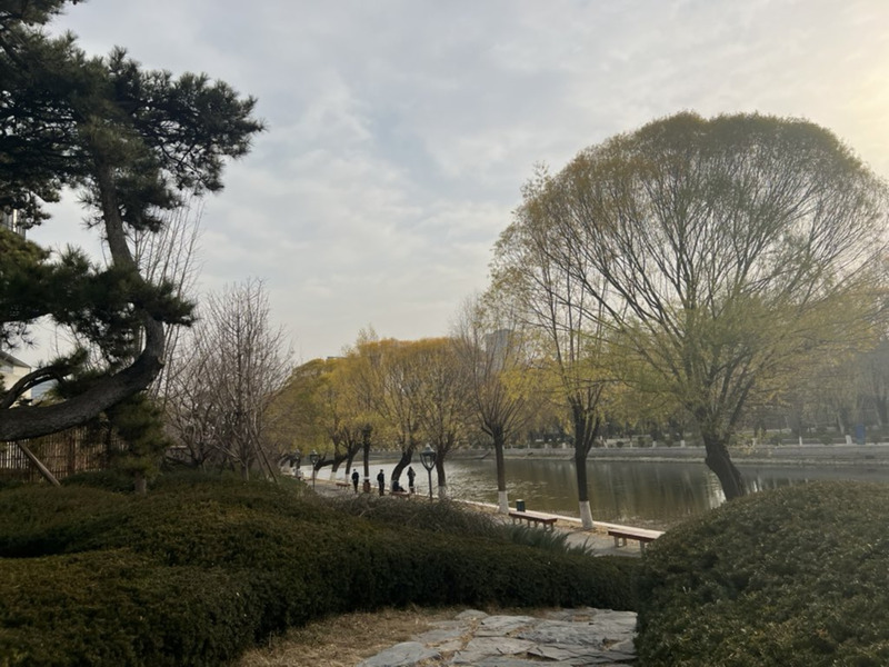 兩岸年輕世代各自追求自由的未來
