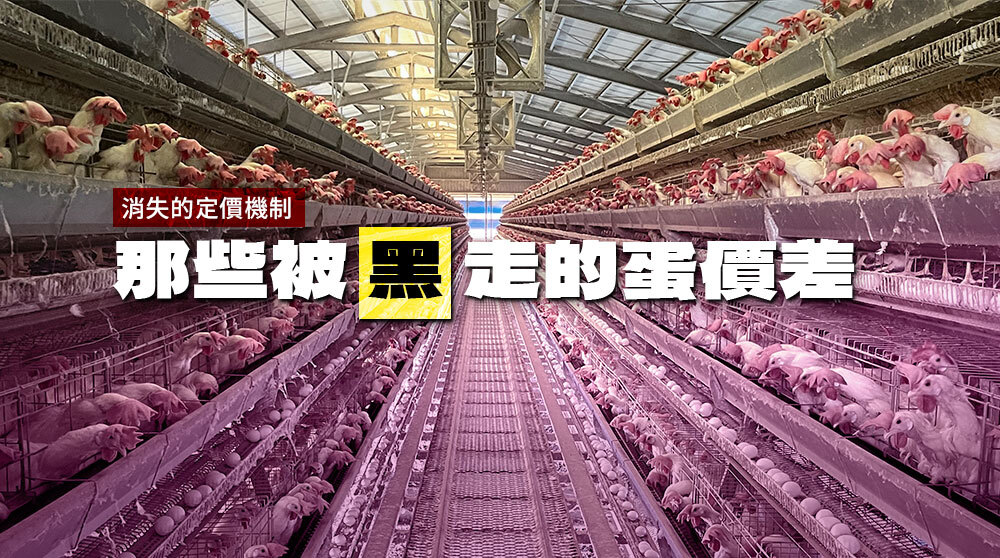 ◎消失的定價機制／那些被「黑」走的蛋價差......